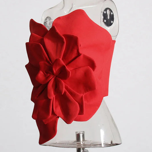 Haut "jardin d'hiver"